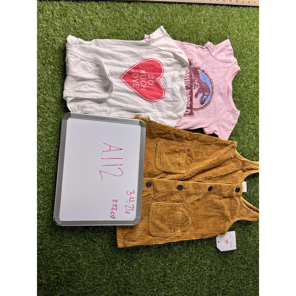 Jumping Beans‎ Girls 18M - Pink & White Tops with Brown Corduroy Dress Lot